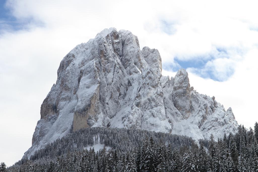 アパートメンツ ソヴァル Santa Cristina Val Gardena エクステリア 写真